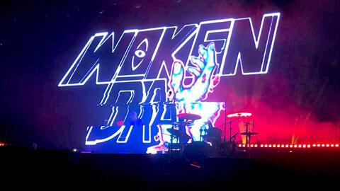 万物复苏爆料视频,揭秘春季生机勃勃的奥秘  第3张